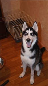 Юля и Демон фотография