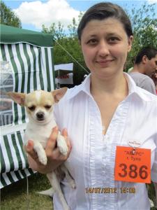 Онтарива фотография