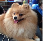 filippo фотография