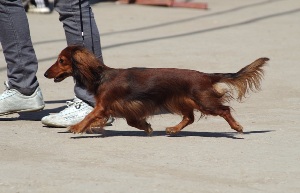 n1ksa фотография