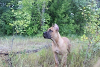 Maximus336 фотография
