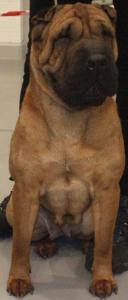 Alis Freid фотография