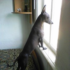 Ligra фотография