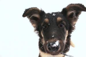 Monita_63 фотография