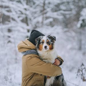 maussie666 фотография