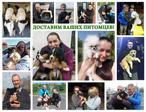 Jelany Red фотография